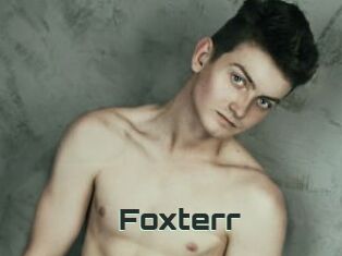 Foxterr