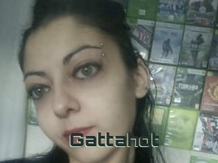 Gattahot