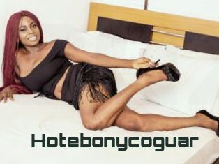 Hotebonycoguar
