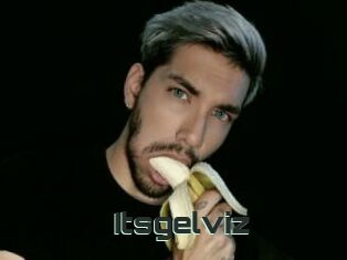 Itsgelviz