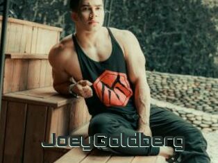 JoeyGoldberg