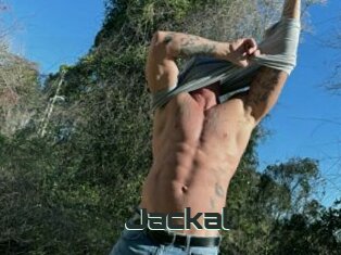 Jackal