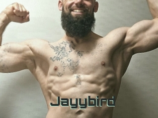 Jayybird