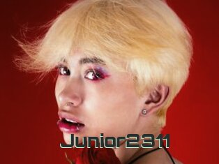 Junior2311