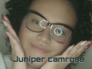 Juniper_camrose