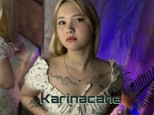 Karinacane
