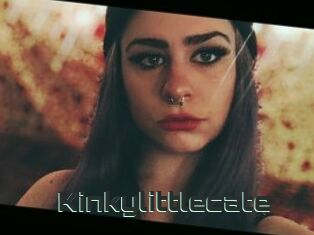 Kinkylittlecate