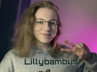 Lillybambus