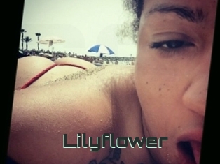 Lilyflower
