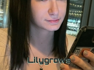 Lilygrows
