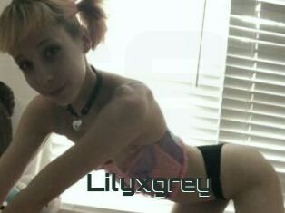 Lilyxgrey