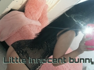 Little_innocent_bunny