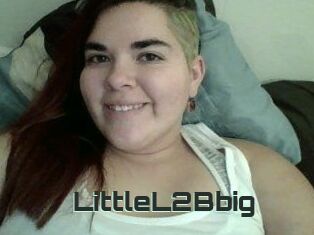 LittleL2Bbig