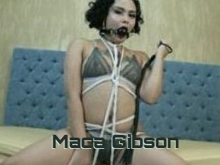 Maca_Gibson