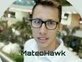 MateoHawk