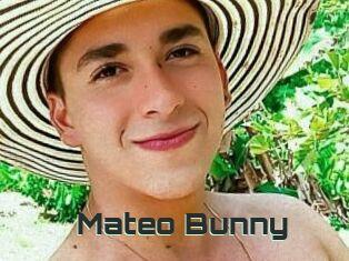 Mateo_Bunny