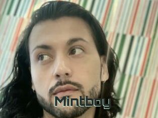 Mintboy
