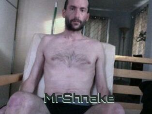 MrShnake
