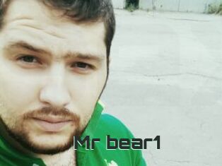Mr_bear1