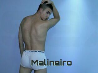 Malineiro