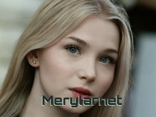 Merylarnet