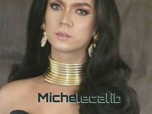 Michelecalib