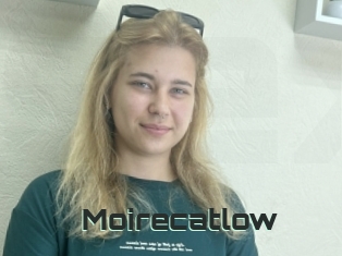 Moirecatlow