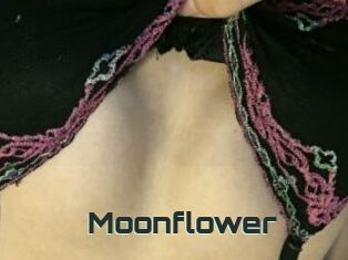 Moonflower