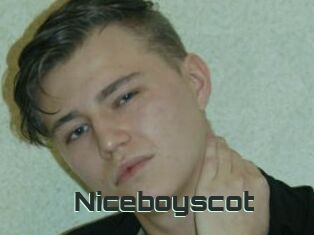 Niceboyscot