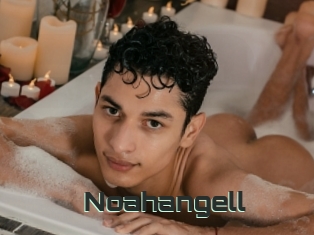 noahangell Sexcam Camsex