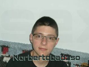 Norbertobadzso