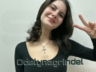 Odelynagrindel