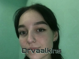 Orvaalkins
