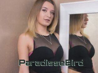 ParadisseBird