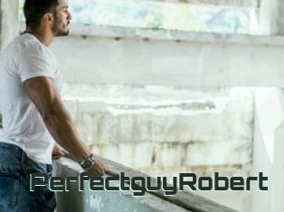 PerfectguyRobert