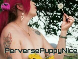 PerversePuppyNice