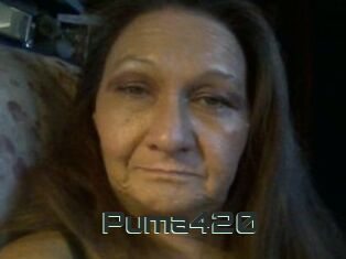 Puma420