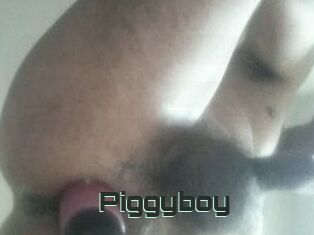 Piggyboy