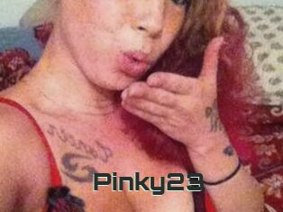Pinky23