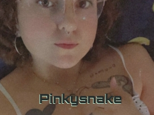 Pinkysnake
