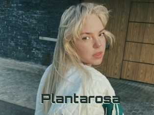 Plantarosa