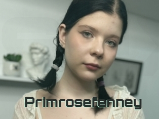Primrosefenney