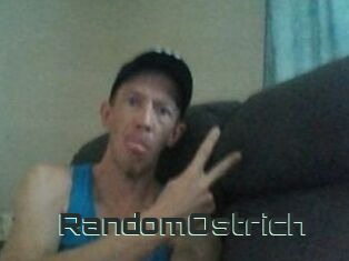 RandomOstrich