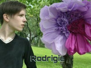 Rodrigie