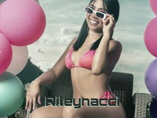Rileynacci