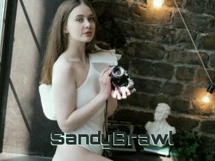 SandyBrawl