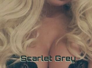 Scarlet_Grey