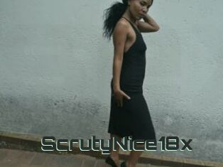 ScrutyNice18x