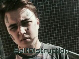 SelfDistruction