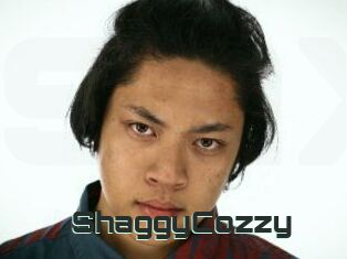 ShaggyCozzy